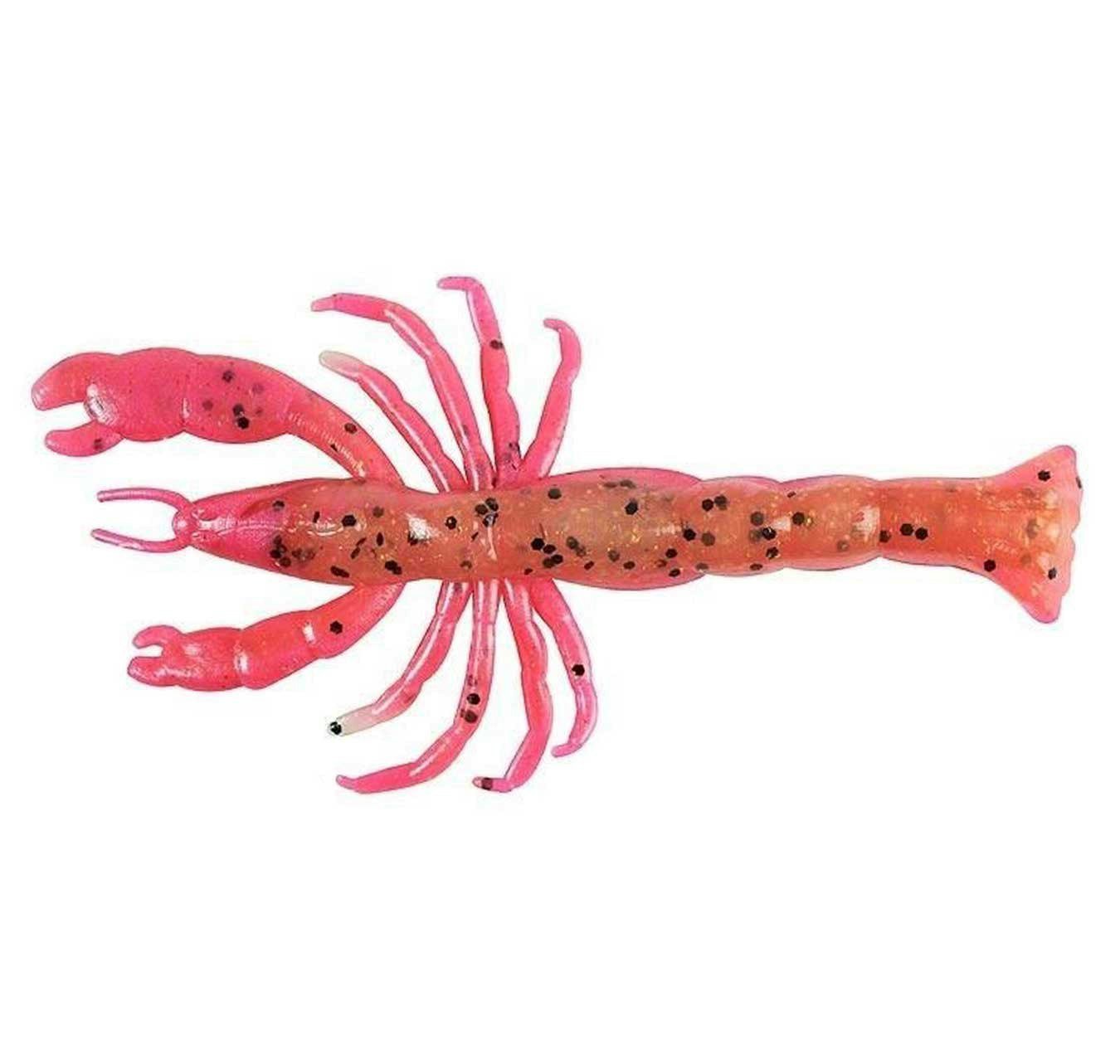 Red Belly Shrimp