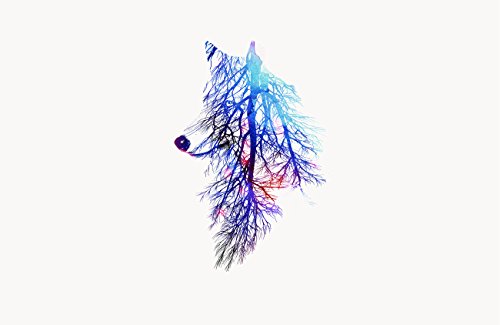 Roots