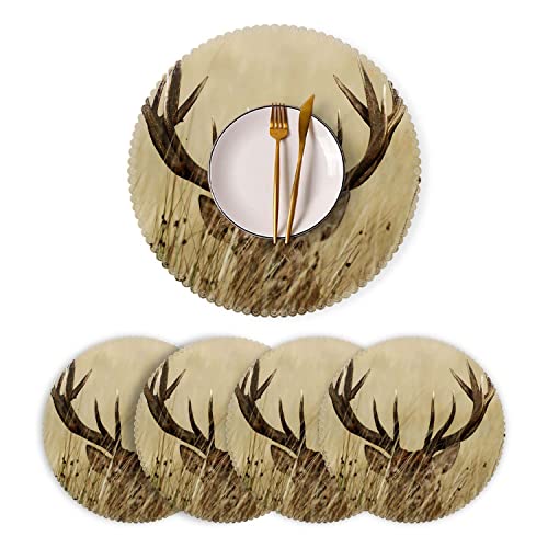 Wild Deer Antlers