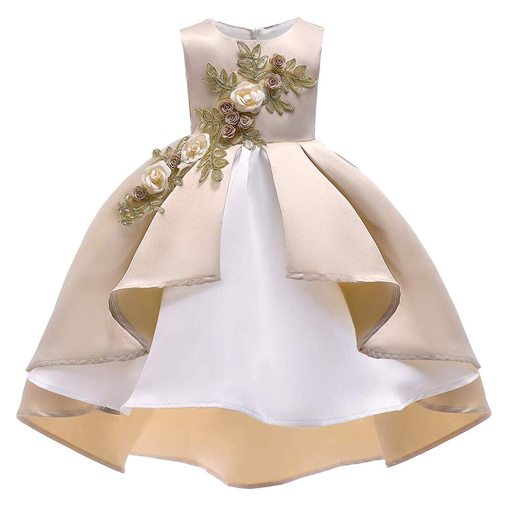Princess Party Dress for Girls 2-3 Years Old - Elegant Formal Baby Girl Dress for Birthday, Wedding & Special Occasions