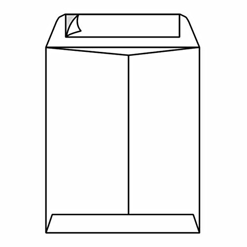Premium Open End Catalog Envelopes 10