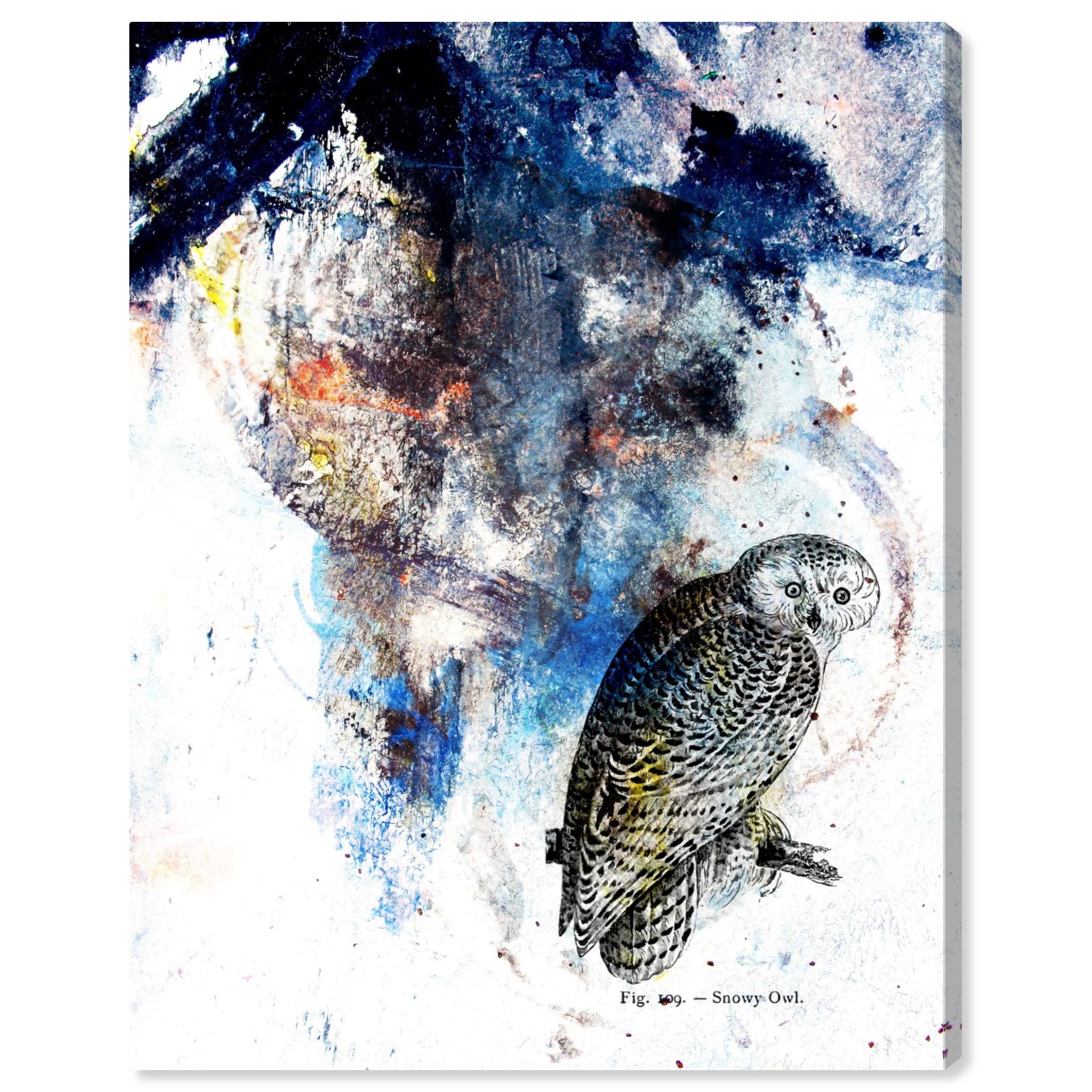 Snowy Owl Wall Art Canvas Print - 13