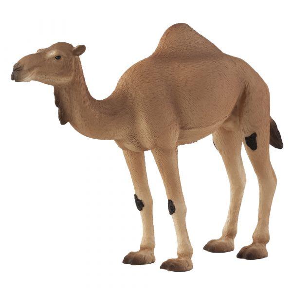 Mojo Arabian Camel Toy - Realistic Animal Planet Figurine for Kids, Collectors & Desert-Themed Play Scenes | Educational Gift for Animal Lovers & Classroom Learning