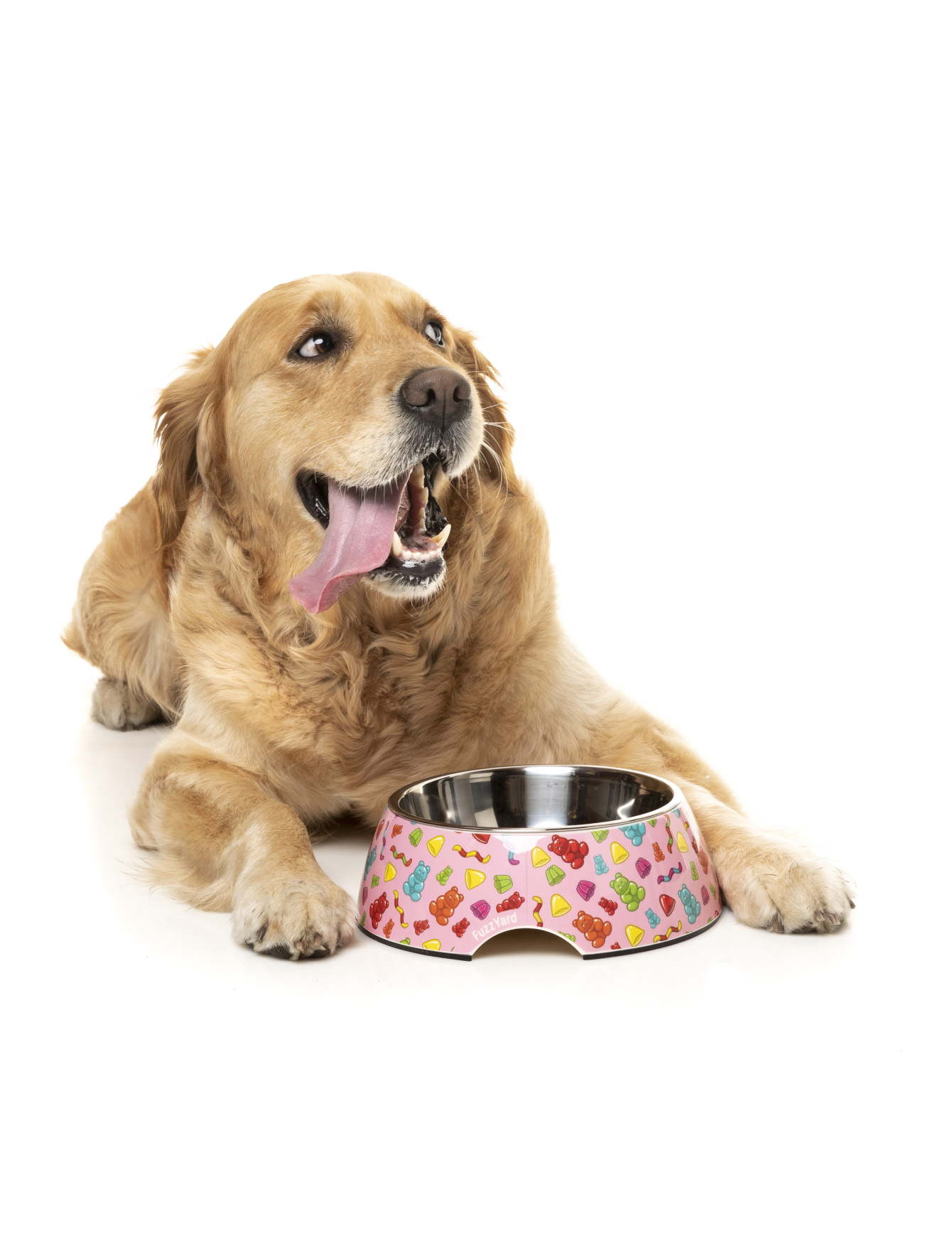 FuzzYard Easy Feeder Slow Eating Pet Bowl for Dogs & Cats - Non-Slip Jelly Bear Design (Small, Medium, Large) - Perfect for Fast Eaters & Messy Pets at Home or Travel