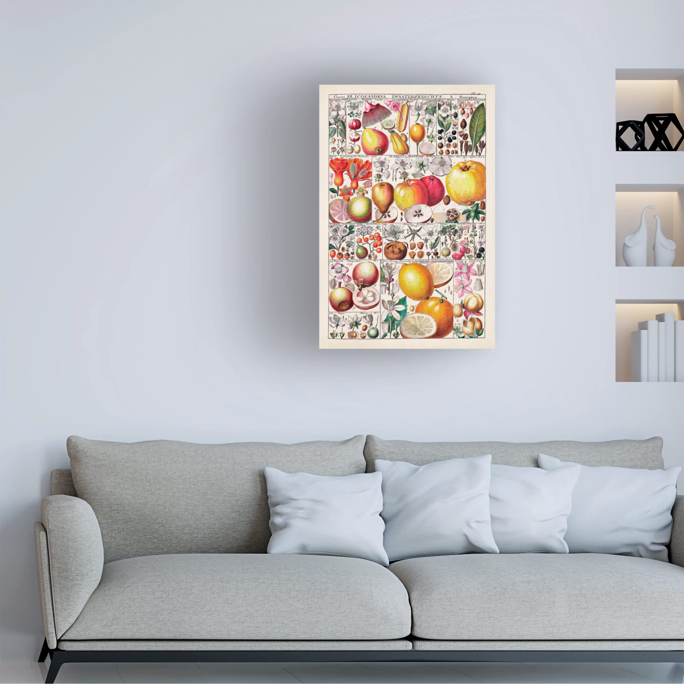 Trademark Fine Art 'Fruit Chart' Canvas Wall Art Print - 30x47 Inches - Vibrant Kitchen Decor & Dining Room Wall Decor - Perfect for Home, Restaurant, or Cafe Decorations