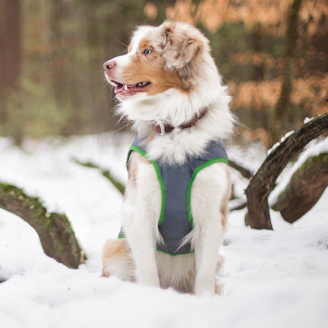 Reversible Waterproof Dog Jacket for Fall Festival - Orange | Cozy & Stylish Pet Outerwear for Autumn Walks and Outdoor Adventures