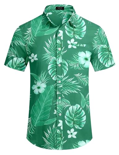 Palm Leaf-green