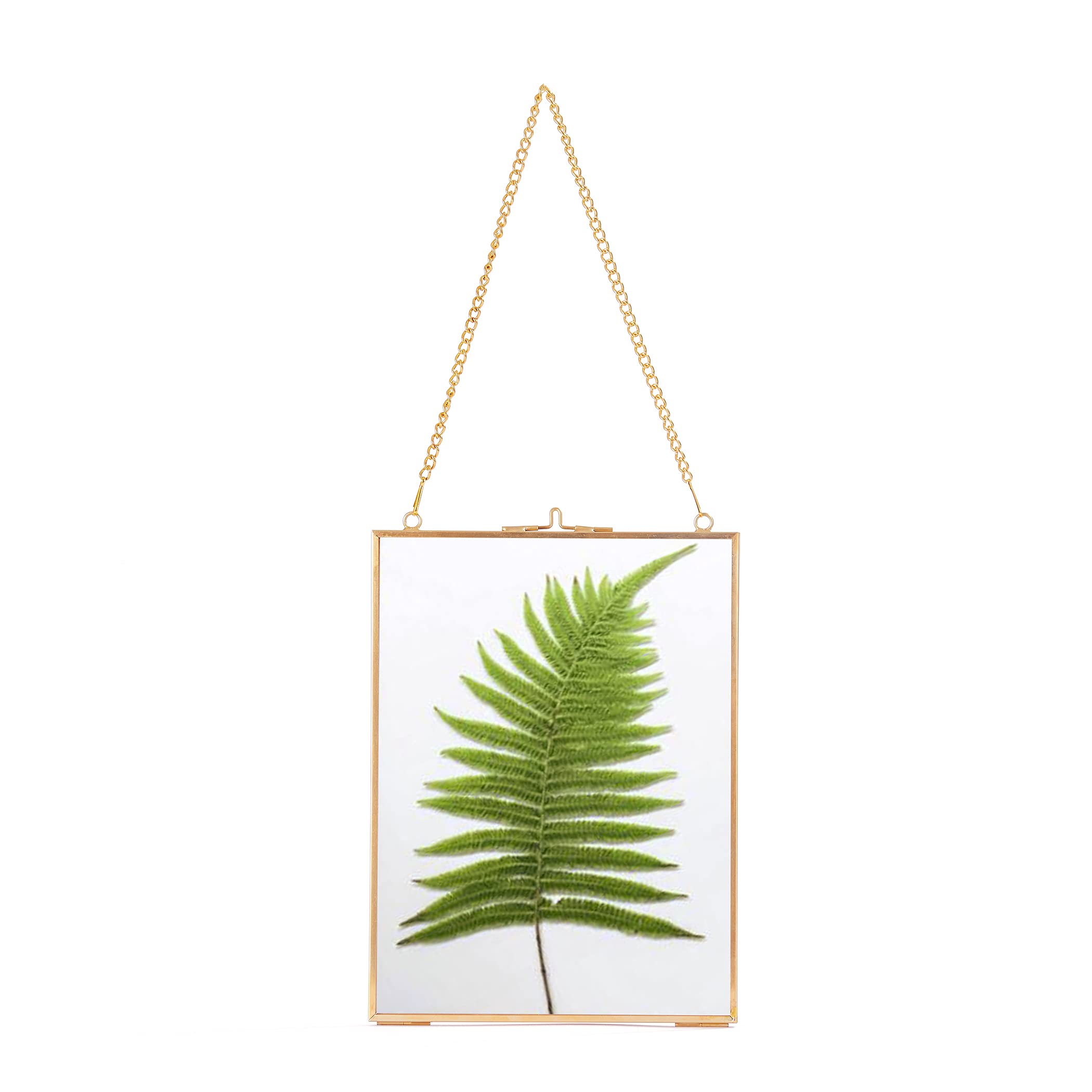 Vintage Brass Hanging Photo Frame - 6x8 Inch Copper Glass Picture Frame with Clip for Wall Decor | Modern Plant Specimen Art Display & Home Office Decoration | Perfect for Living Room, Bedroom, Gallery Wall