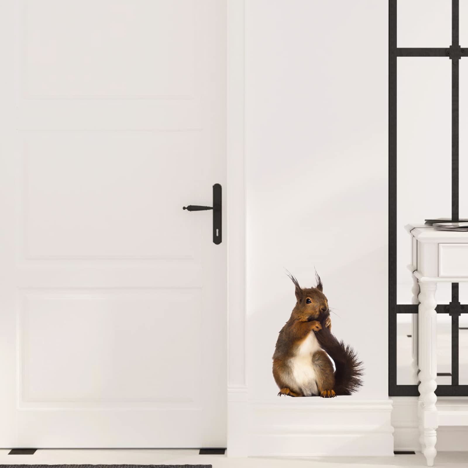 Adorable Squirrel Wall Decals - Peel & Stick Animal Stickers for Home Decor | Perfect for Bedroom, Kitchen, Bathroom, Kids Room & Cafe | Cute Window & Wall Decor for Nature Lovers
