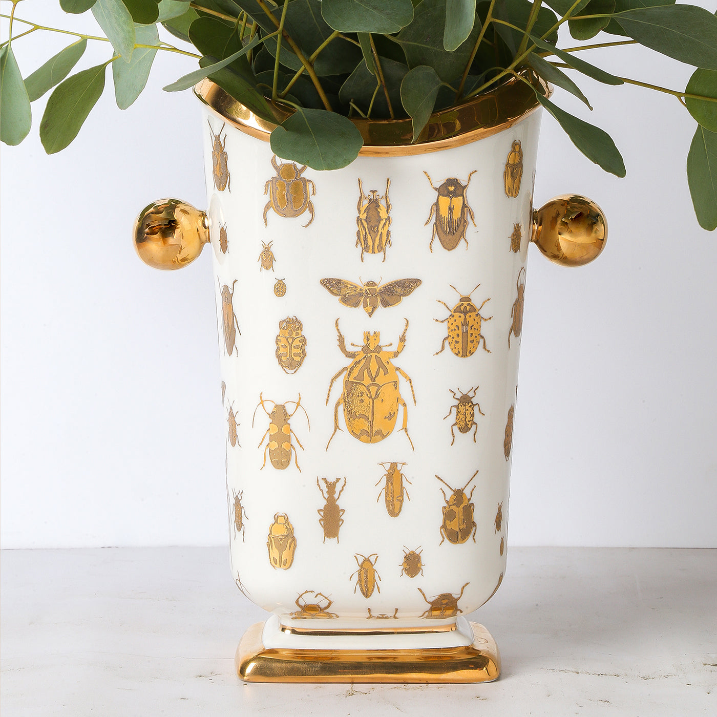 Botanical Specimen Vase - Glass Display Container for Flowers, Plants & Scientific Collections - Perfect for Home Decor, Lab Specimens & Floral Arrangements