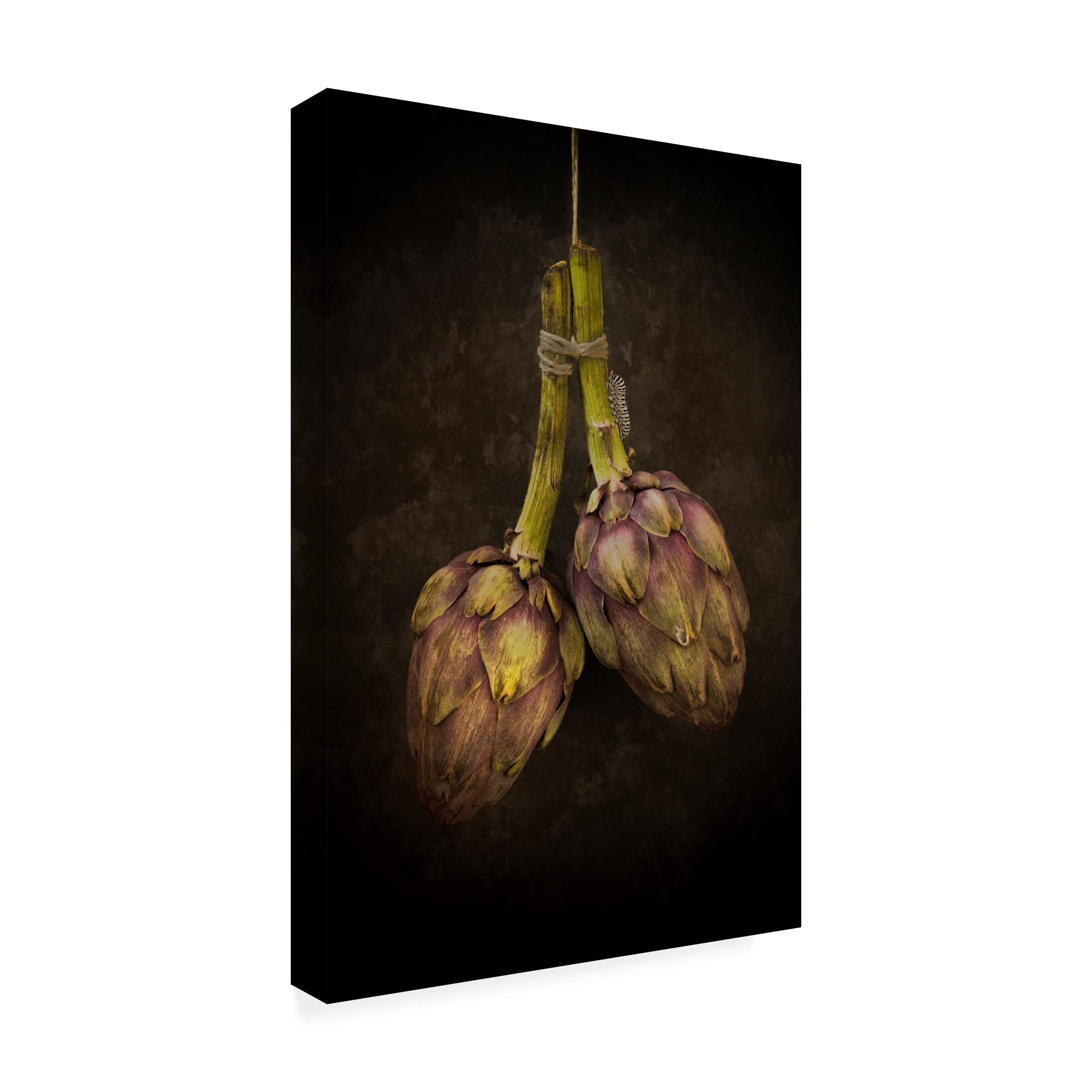 Trademark Fine Art 'Artichoke' Canvas Wall Art Print by Alida Van Zaane - Modern Home Decor for Living Room, Bedroom & Office