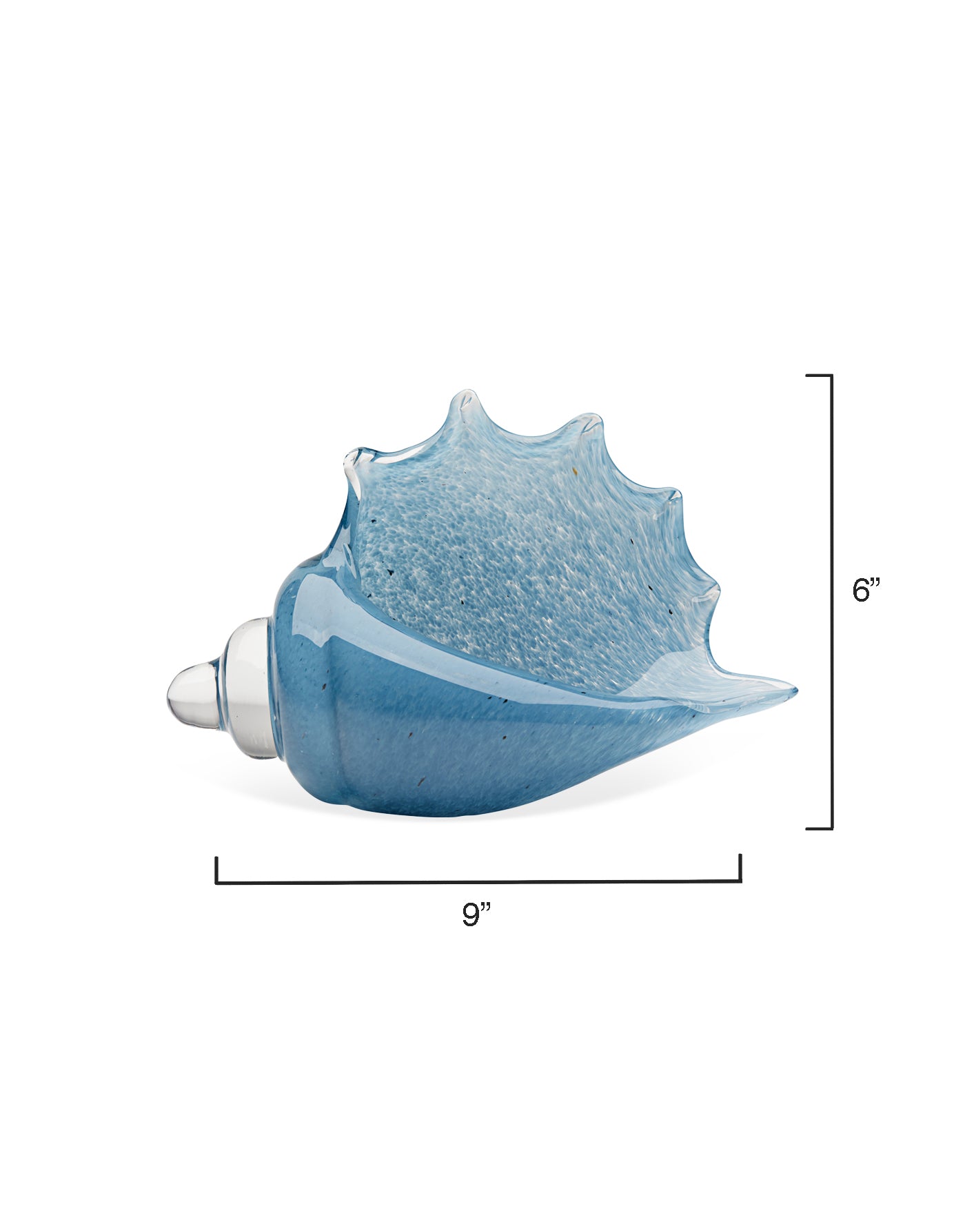 Triton Shell Steel Blue - Premium Durable Shell for Beach Decor, Aquariums & Home Decoration | Perfect for Coastal Themes, DIY Crafts & Gifts