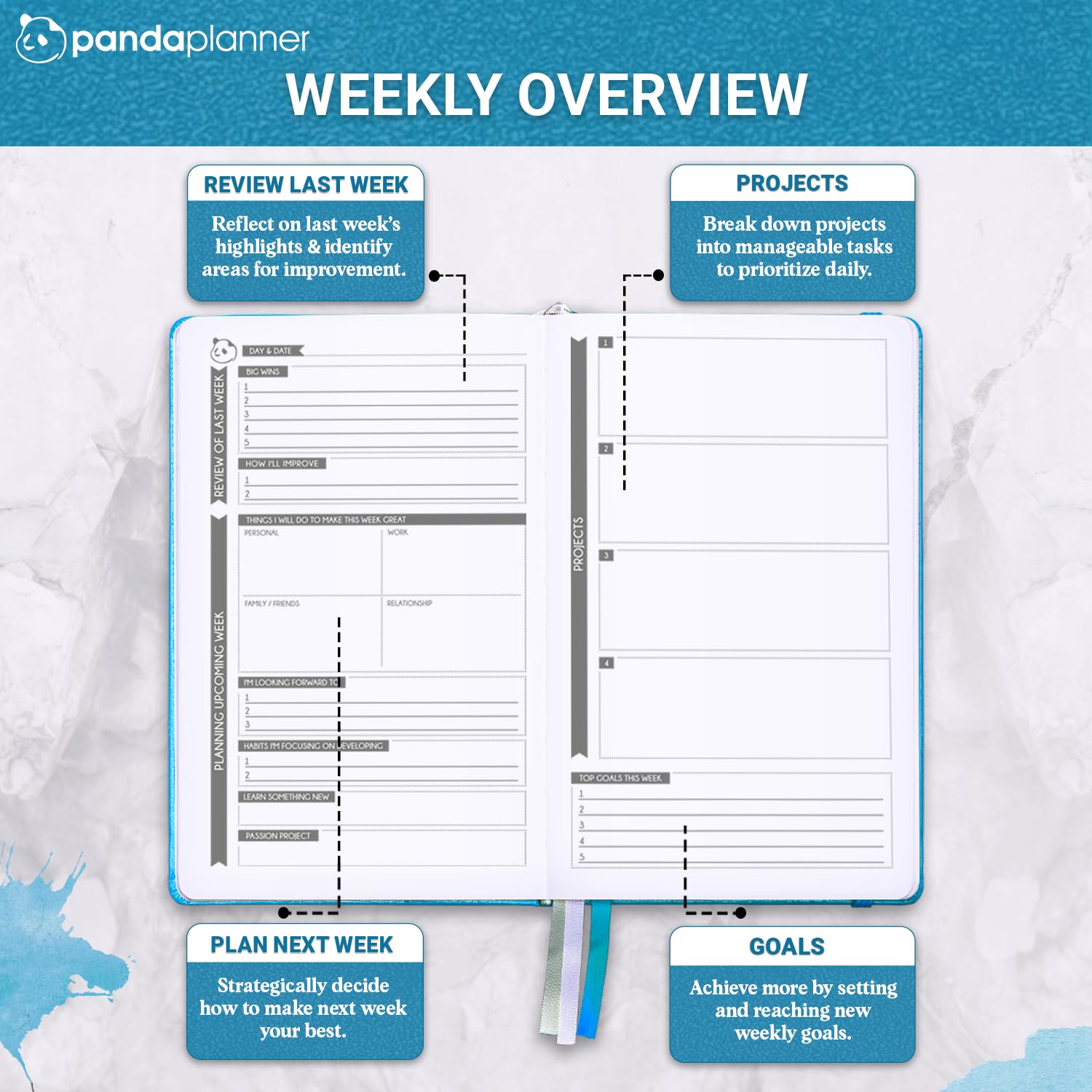 Panda Planner 2025 Undated Daily Planner with Hourly Schedule - 5.75