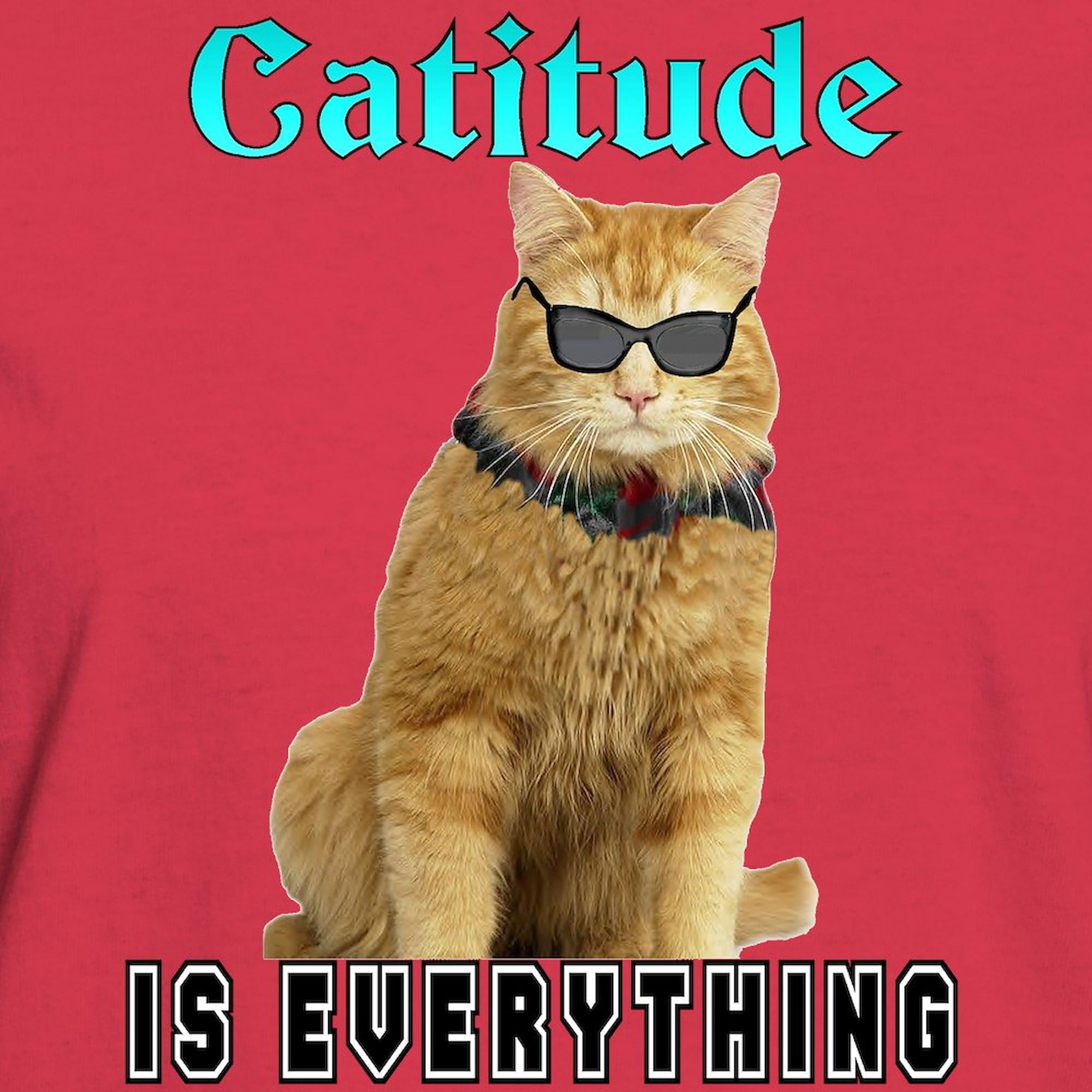 Catitude Women's Dark Cotton T-Shirt - Comfortable & Stylish Women's Tee for Casual Wear, Outings & Cat Lovers