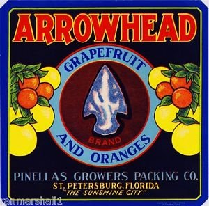 St. Petersburg Florida Arrowhead Orange Citrus Fruit Crate Magnet - Vintage Florida Souvenir & Fridge Decor - Perfect for Kitchen, Office & Travel Memories