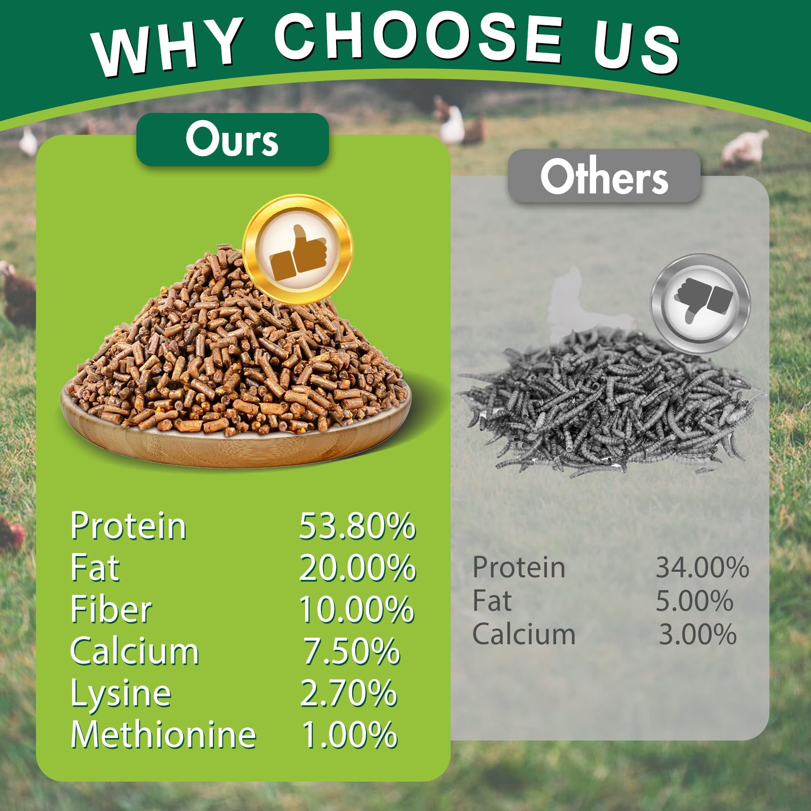 Organic Dried Black Soldier Fly Larvae Chicken Feed - 20lb High Protein & Calcium Chicken Food for Laying Hens | Better Nutrition Than Mealworms | Perfect for Backyard Chickens, Poultry Farms & Organic Egg Production