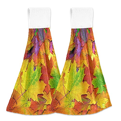 Colorful Leaves