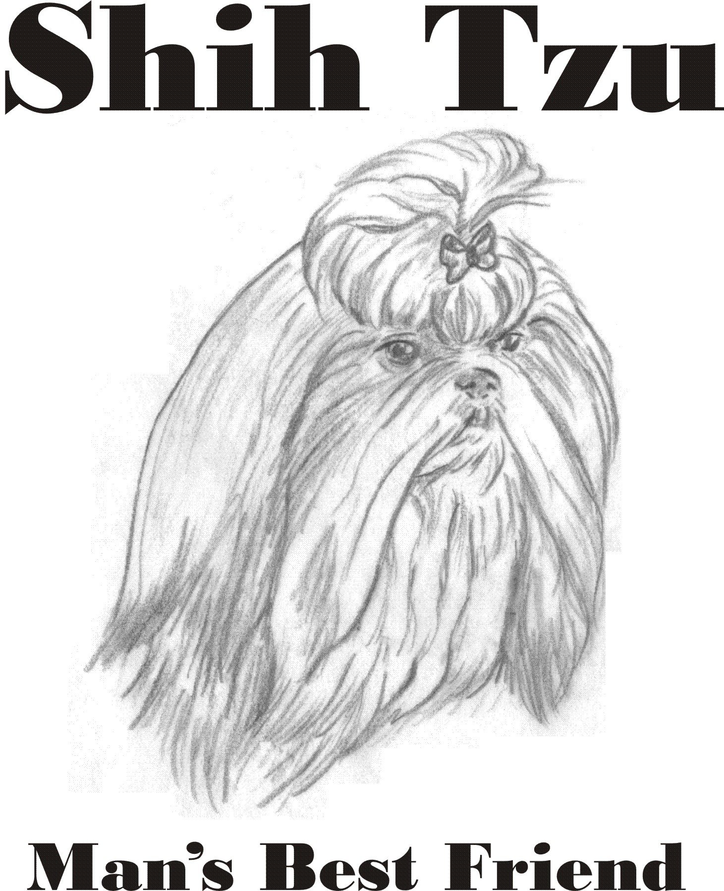 Cahoon's Closet Shih Tzu Dog Lover T-Shirt for Men - Funny Pet Owner Gift, Casual Wear for Dog Walks & Outings