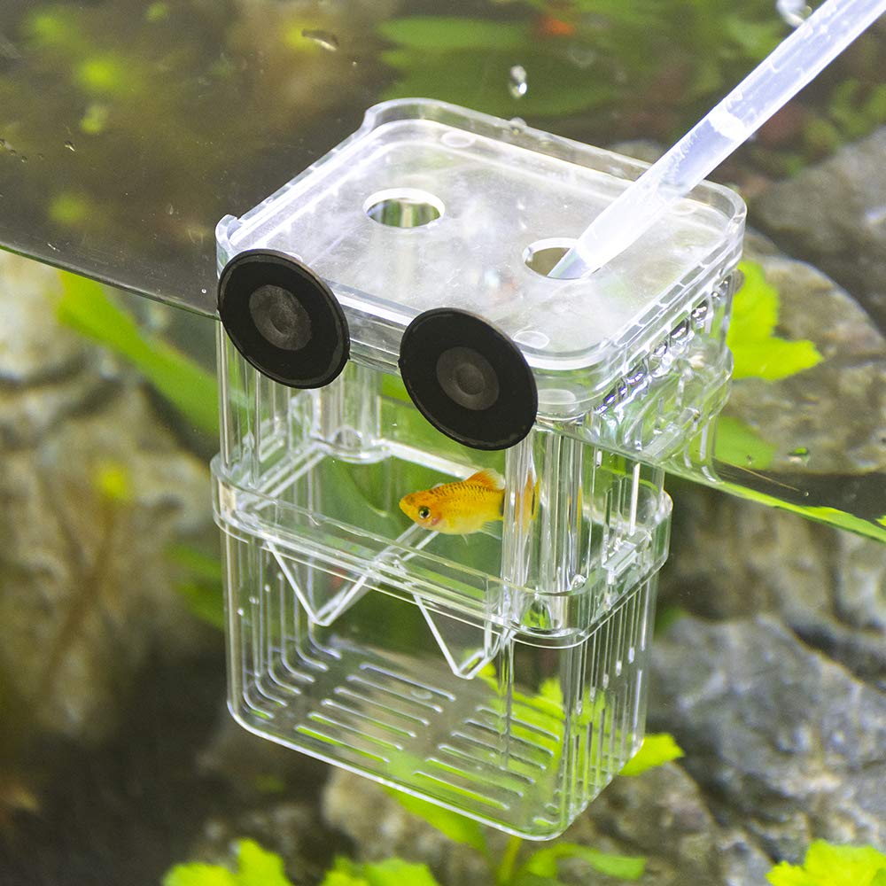 Senzeal Aquarium Fish Breeder Box - Plastic Isolation Breeding & Hatching Incubator for Baby Fish, Shrimp, Clownfish, Guppy Fry | Perfect for Safe Breeding in Home Aquariums & Fish Tanks