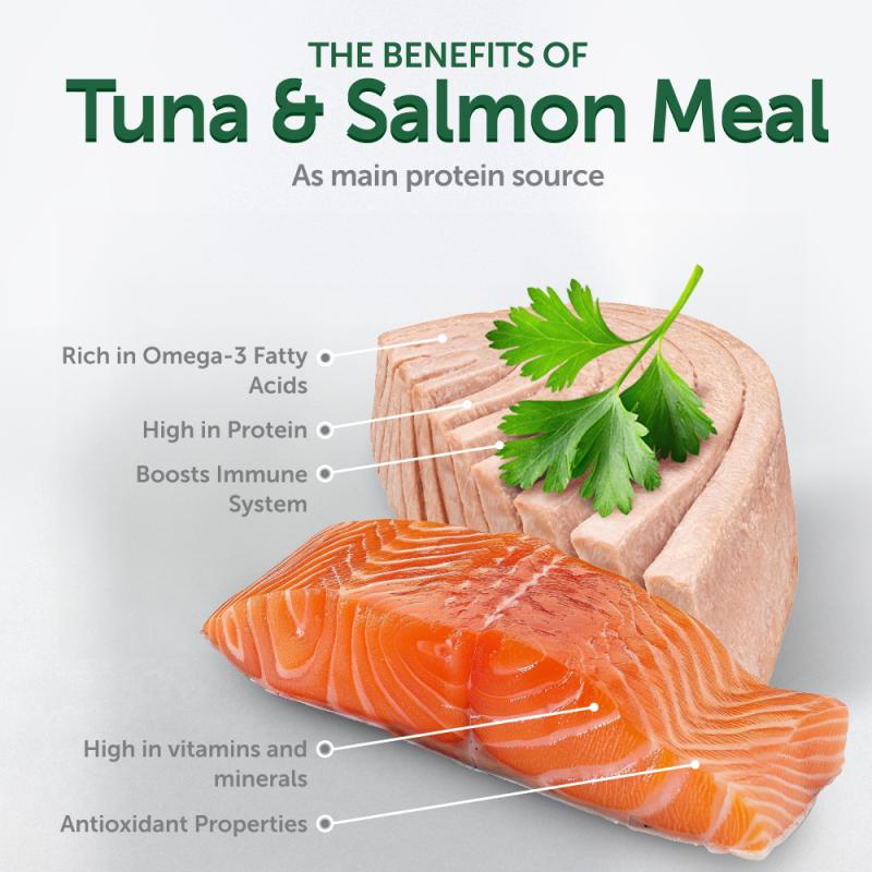 Premium Tuna & Salmon Wet Dog Food for Adult Dogs - All Breeds & Sizes - High Protein Meal for Healthy Skin & Coat - Perfect for Picky Eaters & Daily Feeding