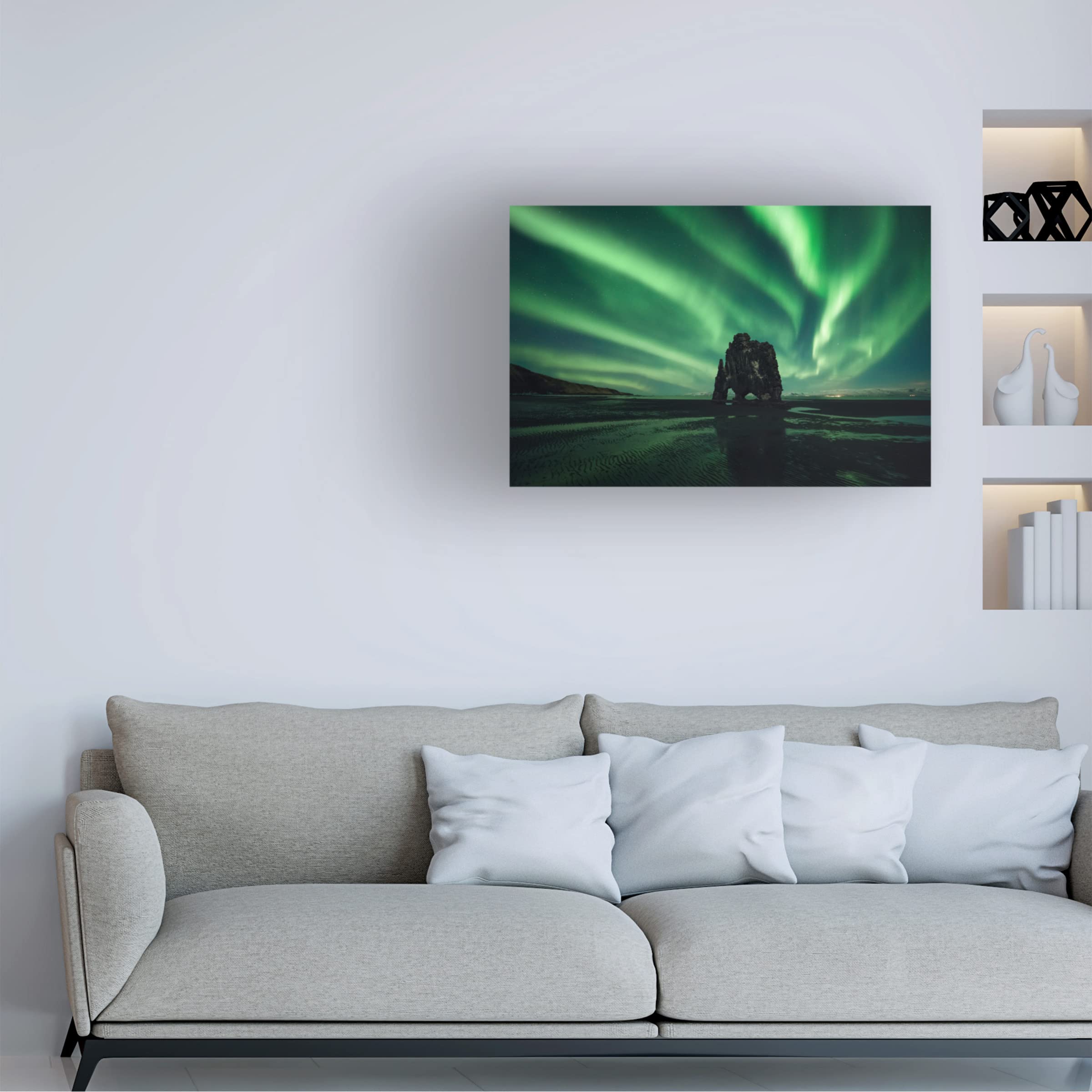 David Martin Castan 'Rhino' Canvas Art Print - Wildlife Animal Wall Decor for Living Room, Bedroom & Office - Trademark Fine Art Collection