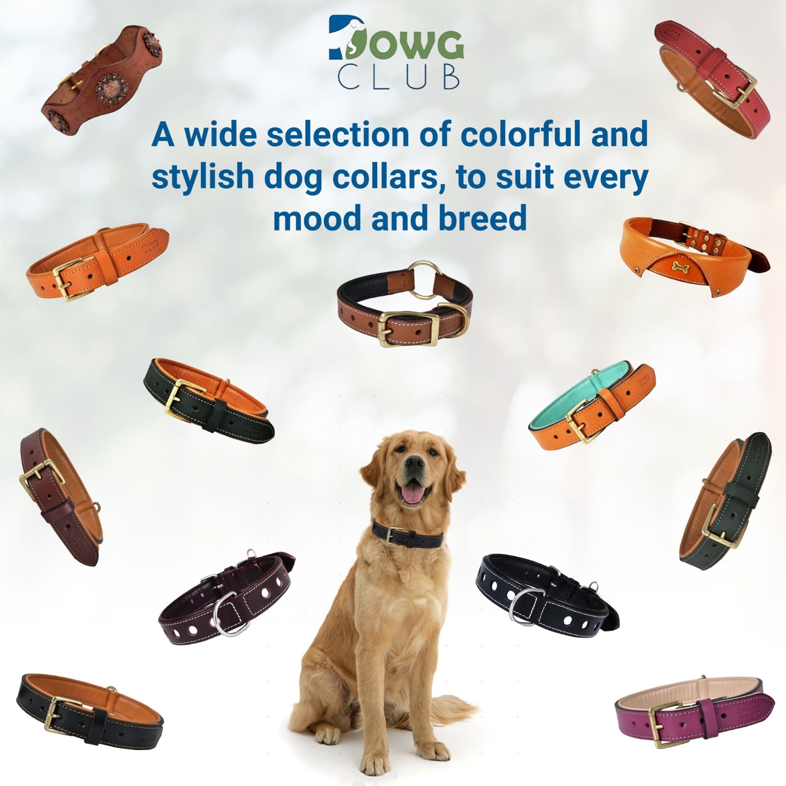 Premium Genuine Full Grain Leather Dog Collar for Medium Dogs - 1 Inch Wide, Heavy Duty with Soft Inner Padding - Comfortable & Durable (14.5