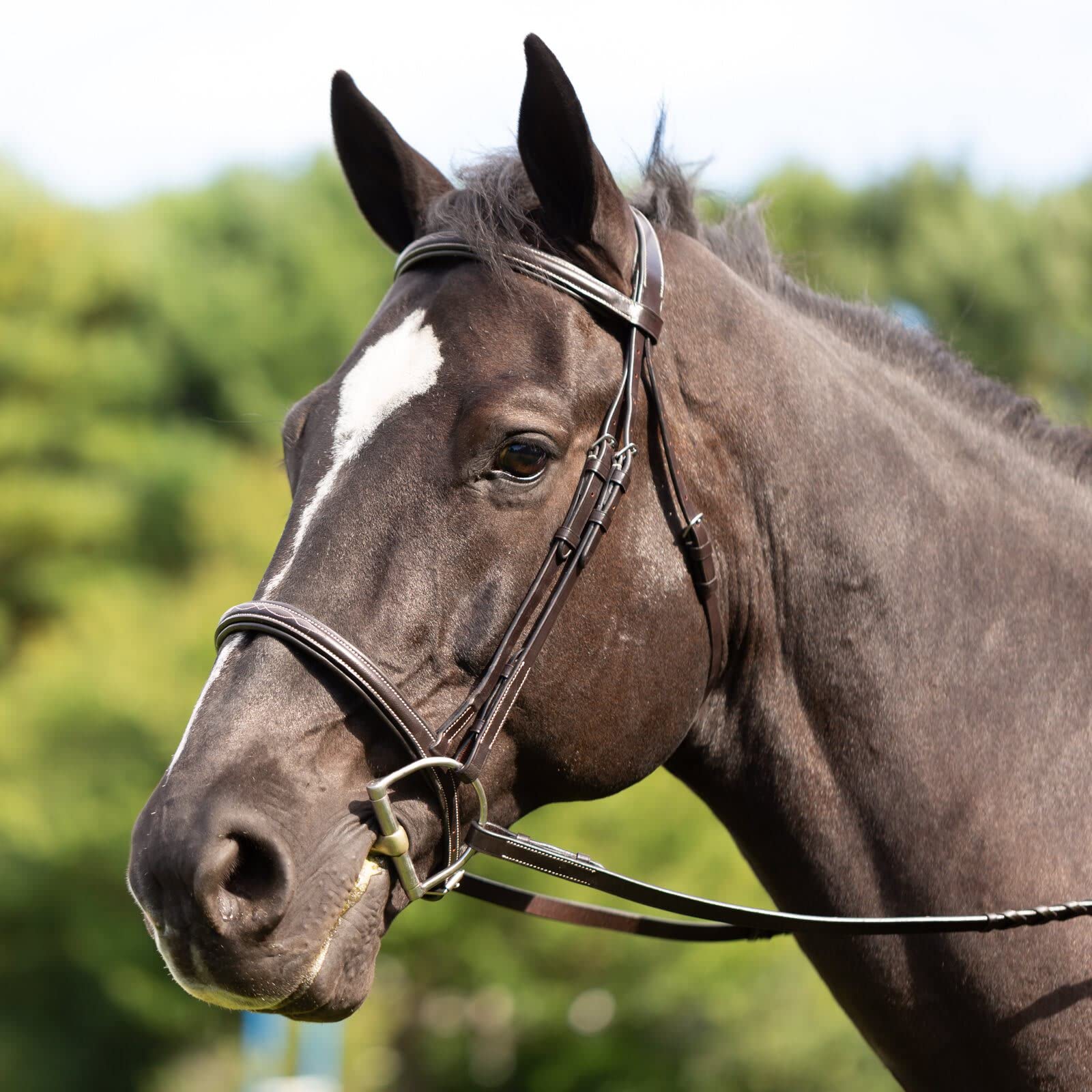 Equinavia Saga Adjustable Padded Hunter Bridle with Fancy Stitching - Premium Leather Horse Bridle with Reins for English Riding, Show Jumping & Dressage