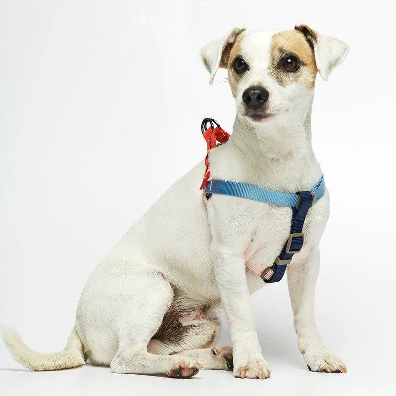 Premium No-Pull Dog Harness for Small & Medium Dogs - Adjustable & Reflective Pet Vest with Handle - Perfect for Walking, Running & Outdoor Adventures