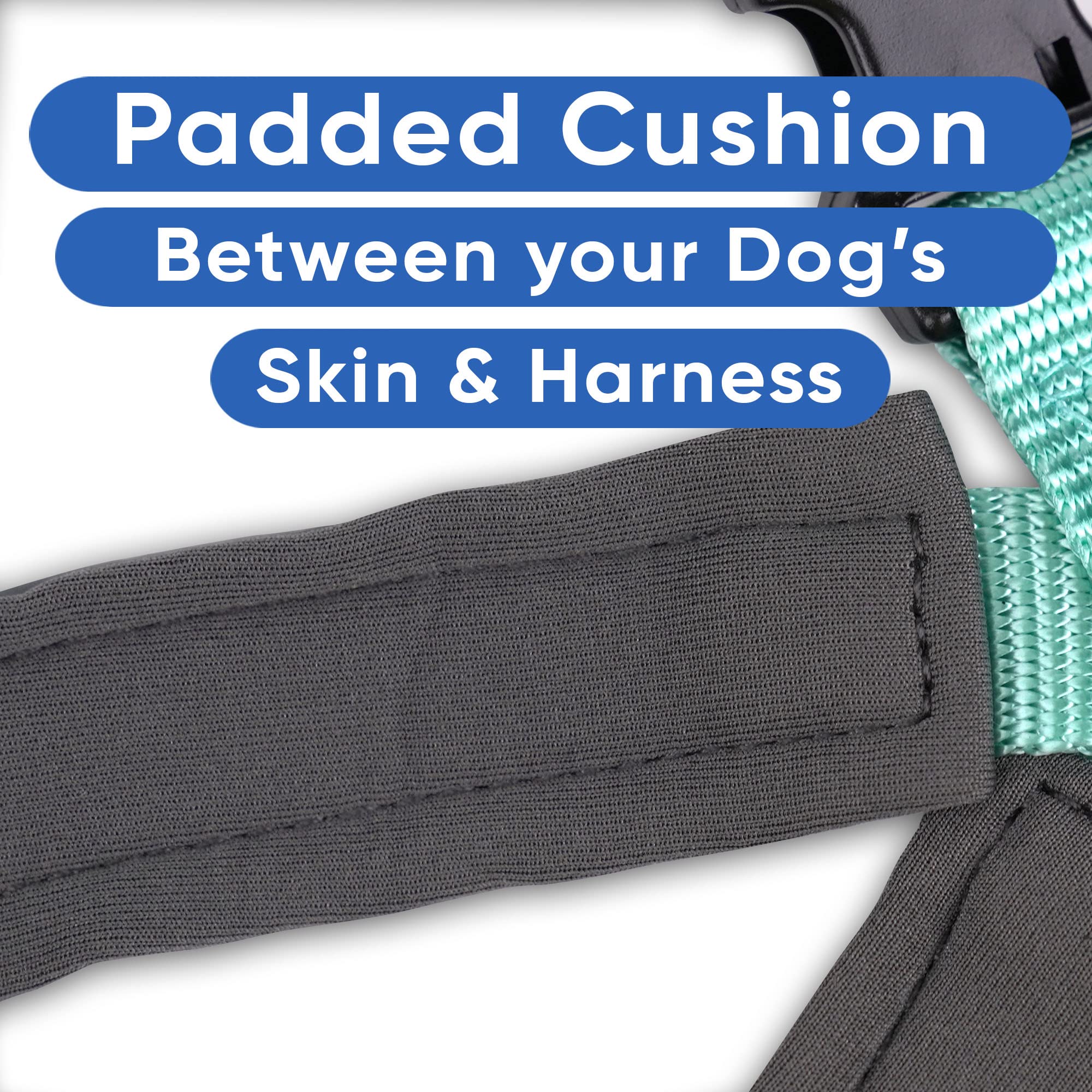Pawtitas Reflective Padded Dog Harness - Comfortable & Adjustable Pet Vest for Walking, Running & Night Safety - Medium Size Teal Blue - Perfect for Small to Medium Dogs Outdoor Adventures