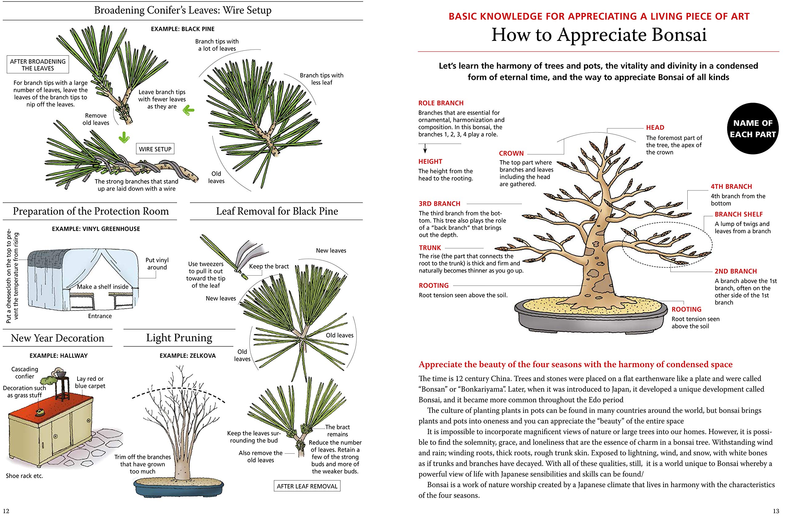 Bonsai for Beginners: The Complete Illustrated Guide with Monthly Growth Schedules & 2000+ Illustrations - Perfect for Home Decor, Gardening Gifts & Zen Meditation Spaces