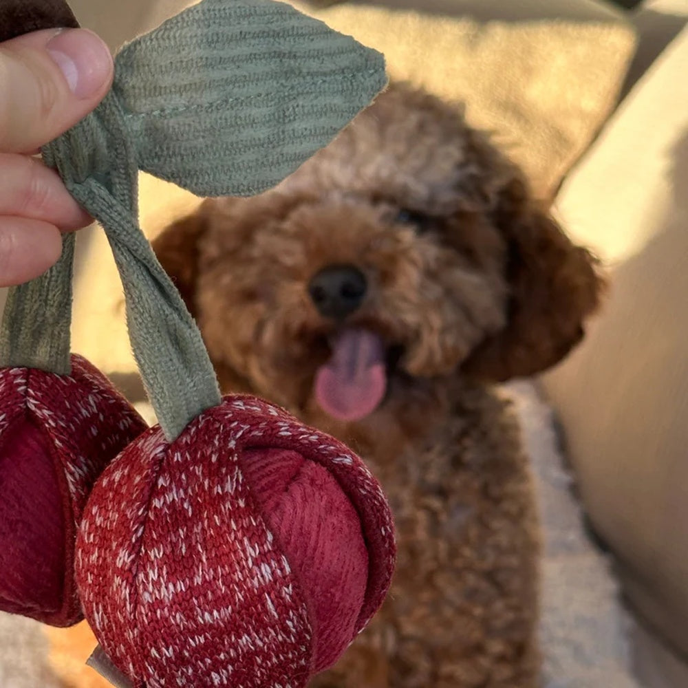 2-Piece Cherry Pop Dog Chew Toy Set - Durable & Safe for Small & Large Dogs - Perfect for Indoor & Outdoor Playtime