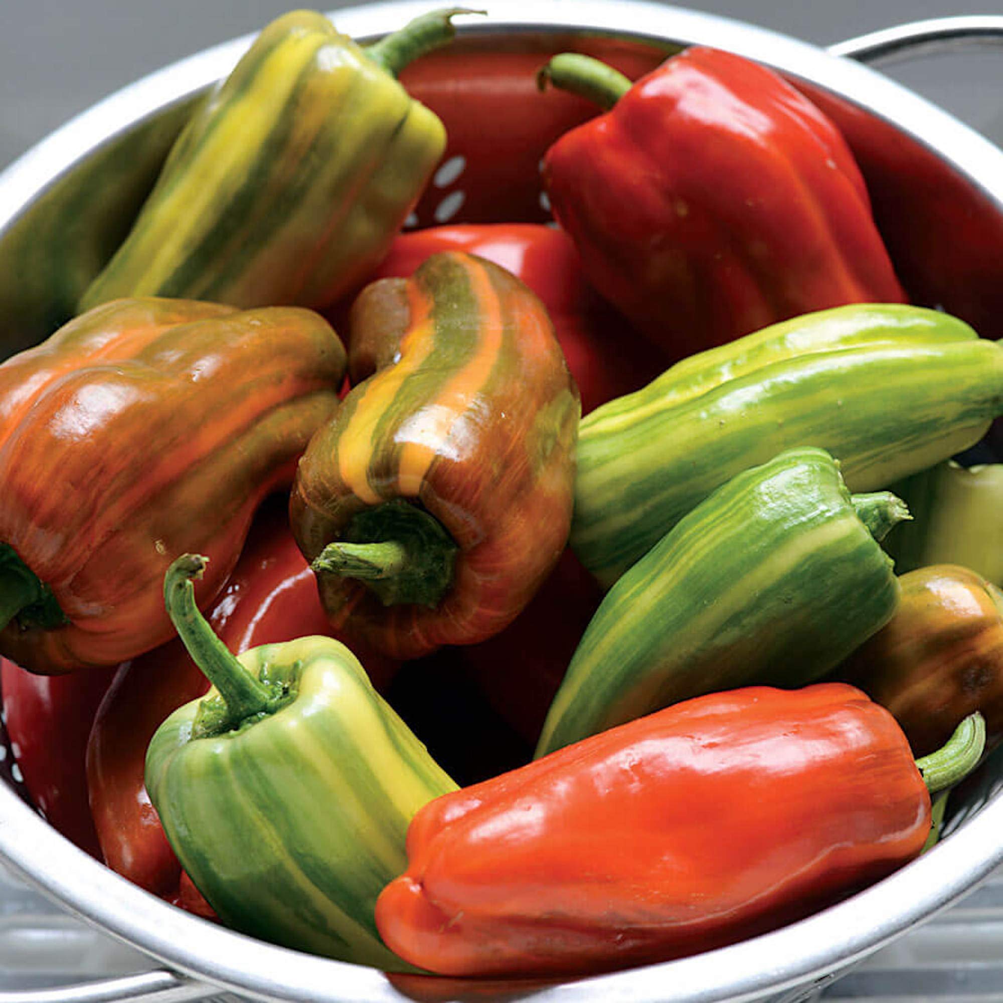 Park Seed Sweet Pepper Vegetable Plant Seeds - Easy to Grow, Non-GMO, Pack of 10 | Perfect for Spring Gardening, Home Vegetable Patches & Organic Farming | Pepper Candy Cane Variety for Fresh Salads, Cooking & Canning