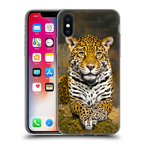 Adult Female Jaguar
