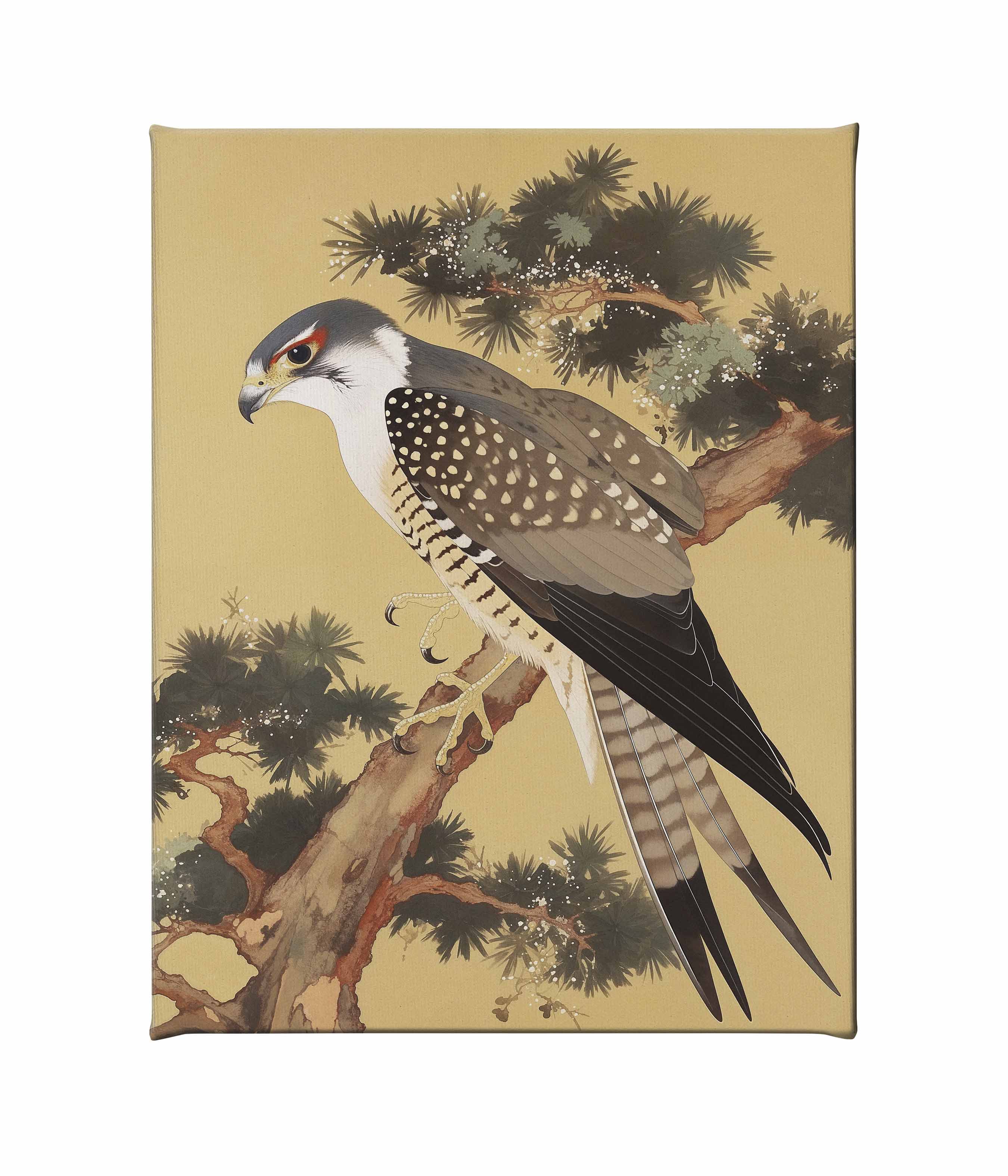 Graceful Sentinel Falcon in Pine Grove - Stunning Gallery Wrapped Canvas Art for Home & Office Decor | Nature Wildlife Wall Art for Living Room, Bedroom