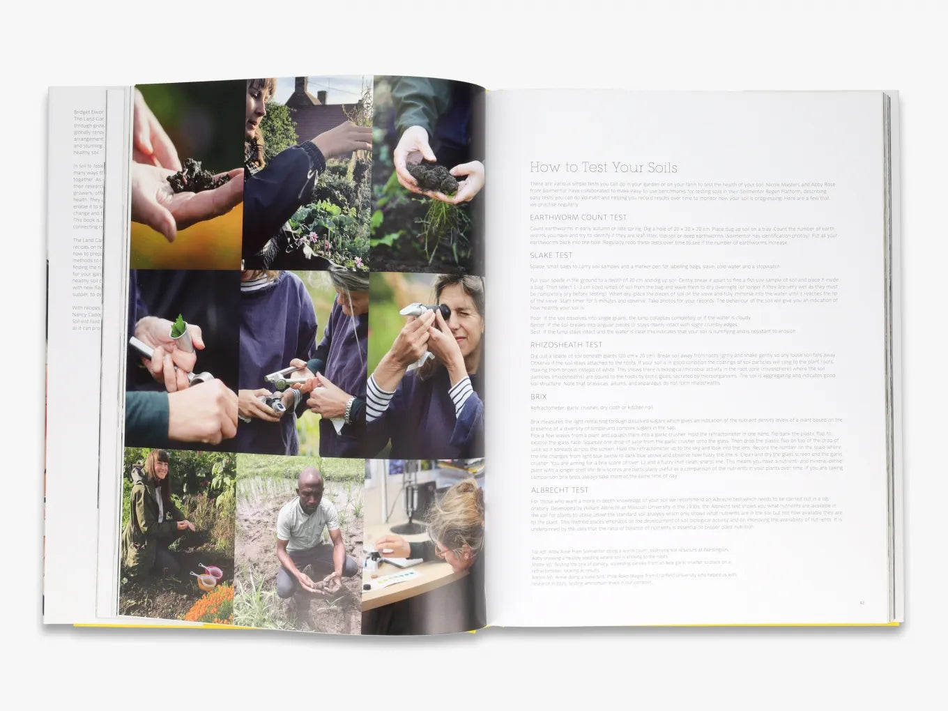 Organic Gardening Essentials | Soil to Table Guide by The Land Gardeners | Perfect for Homegrown Vegetables & Sustainable Farming