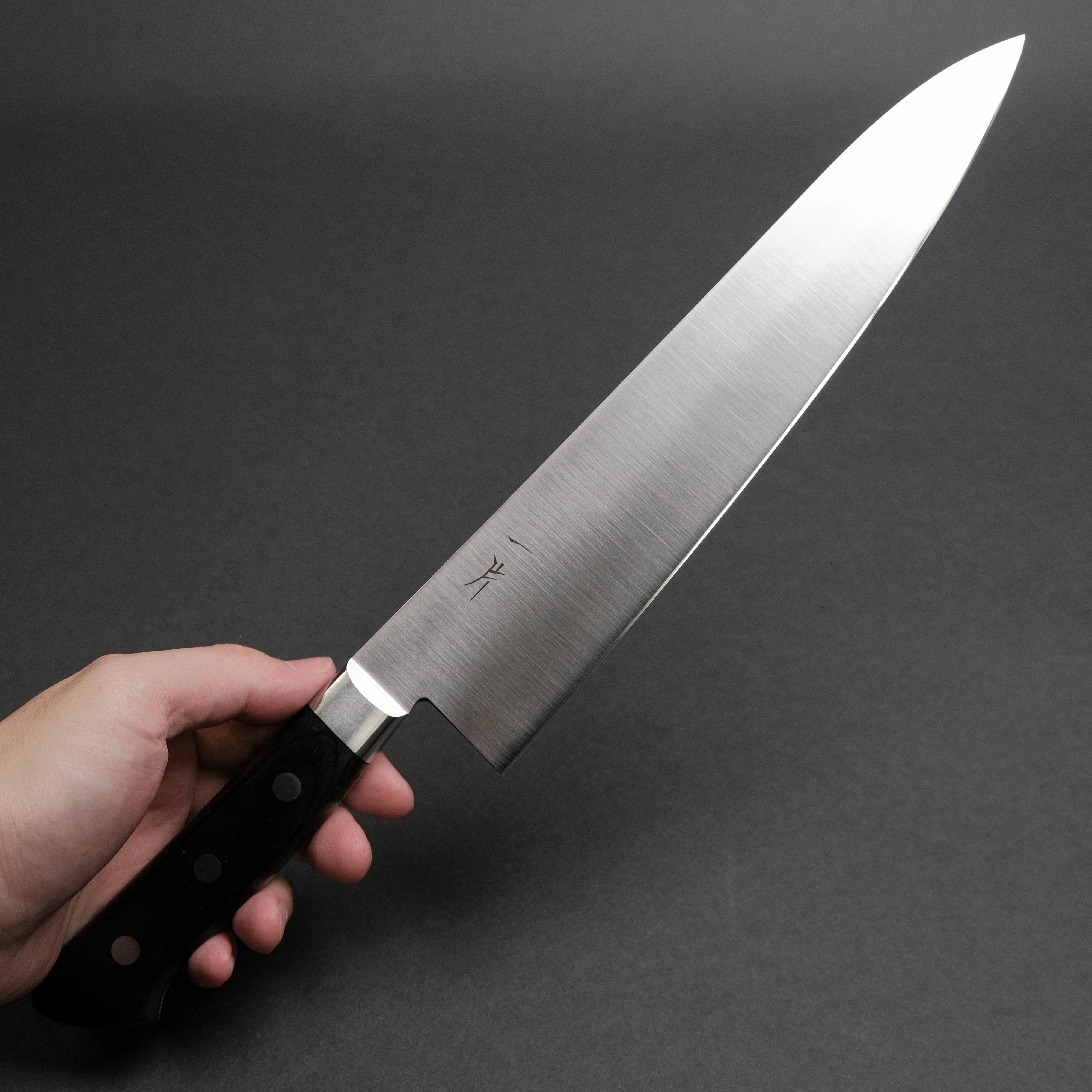 Hitohira FJ VG-10 Gyuto Japanese Chef Knife 240mm - Professional Pakkawood Handle - Perfect for Sushi, Meat Cutting & Vegetable Chopping