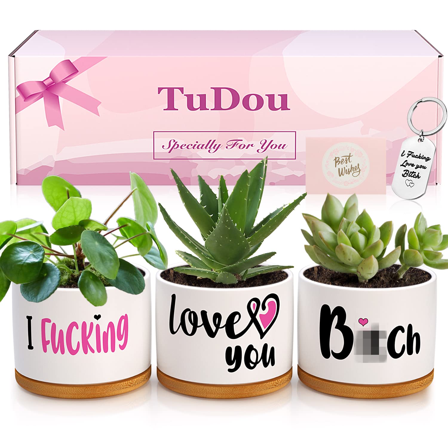 Succulent Pots - Unique Birthday & Anniversary Gifts for Her/Him | Valentine's Christmas Present