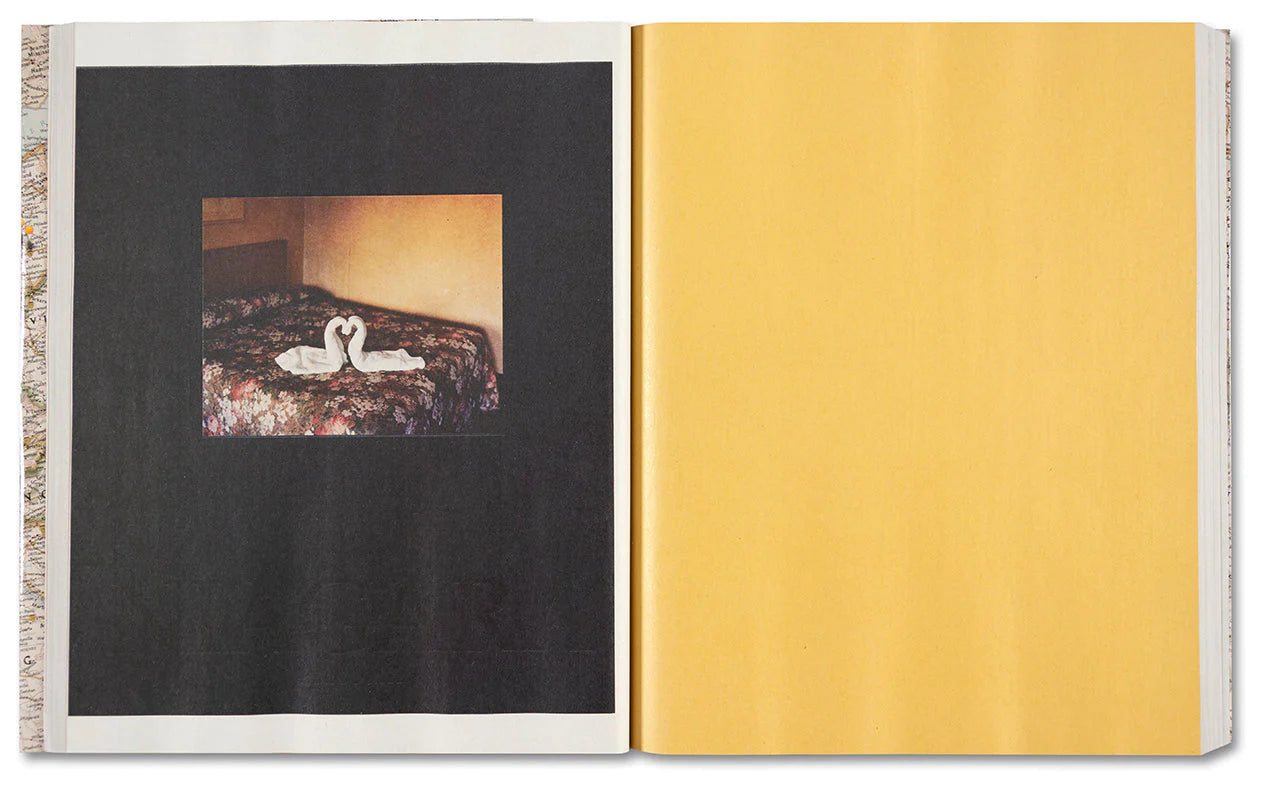 Alec Soth Gathered Leaves Annotated - Photography Book with Commentary | Perfect for Art Collectors & Photography Enthusiasts