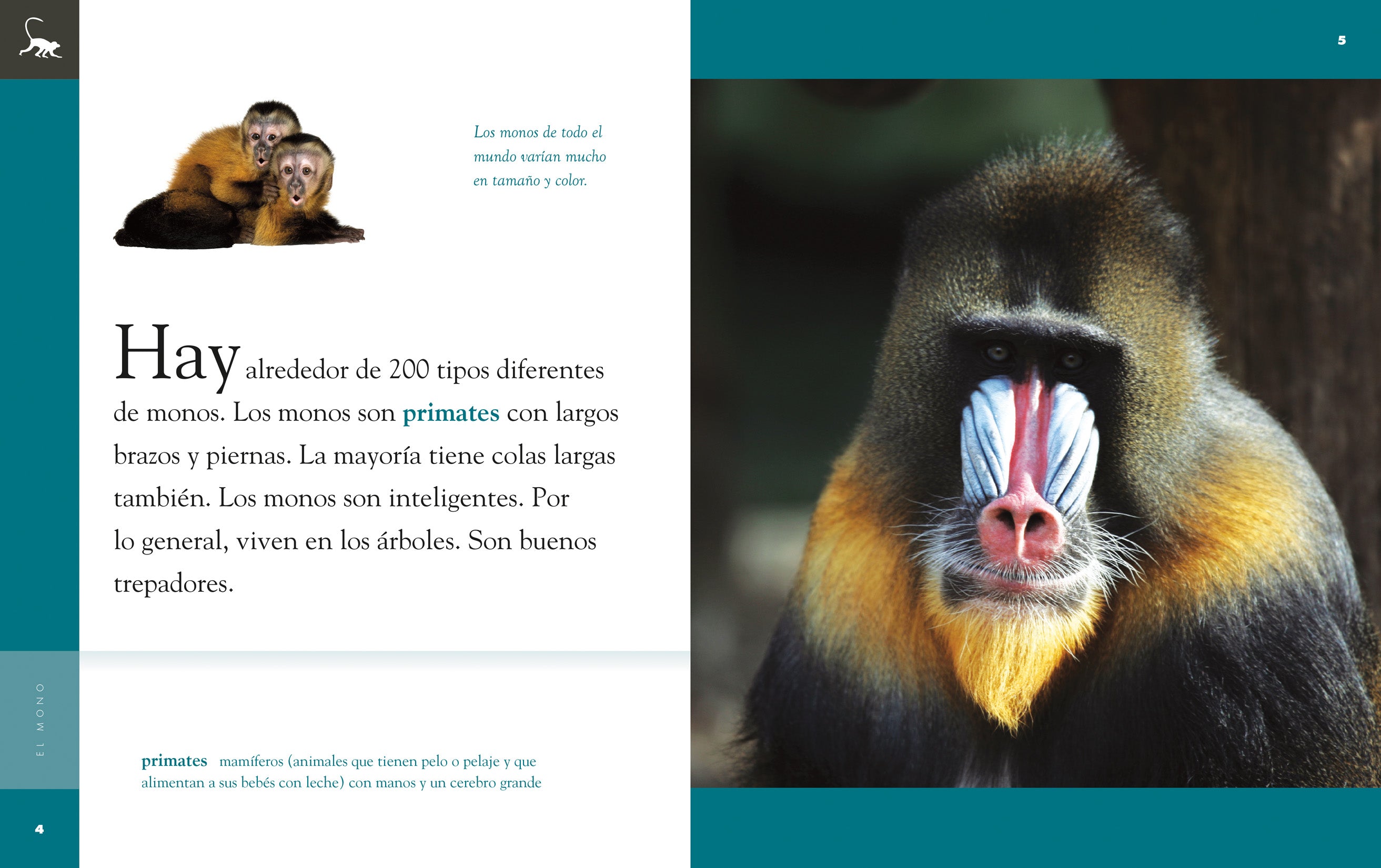 El Mono 9781640262638 - Bilingual Children's Book for Early Learning & Storytime | Perfect for Home, Classroom & Library Reading