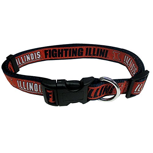 Illinois Fighting Illini