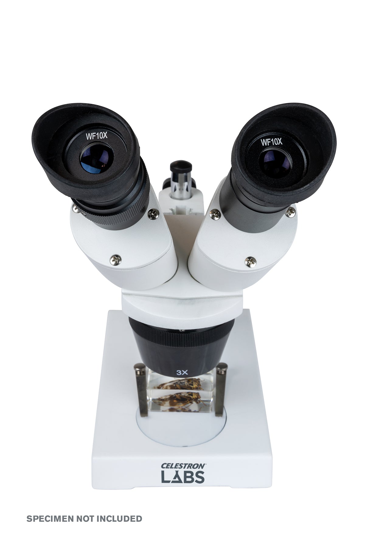 Celestron Labs S1030N Stereo Microscope 20x-40x Magnification for Coin Collecting, Jewelry Inspection & Science Education - Perfect for Hobbyists, Students and Professionals