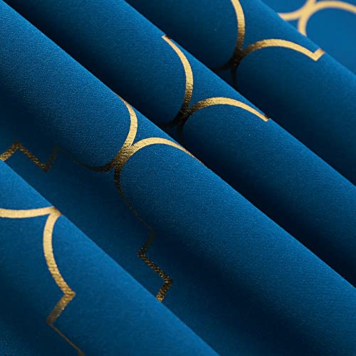 Blue/Gold