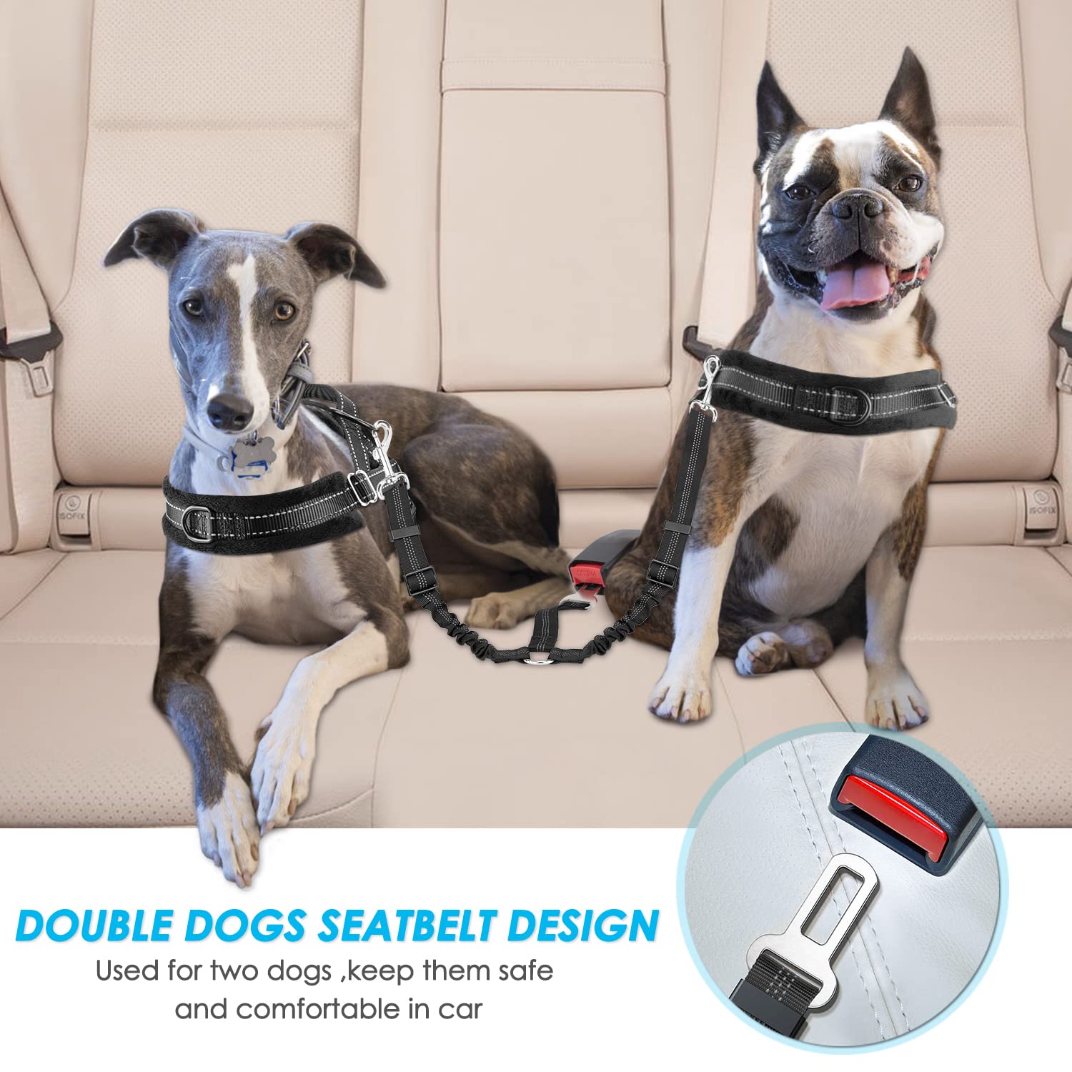 SlowTon Adjustable Double Dog Seat Belt - Y-Shape No Tangle Pet Car Harness with Elastic Bungee & Reflective Safety Leash for Vehicle Travel | Perfect for Road Trips with Two Dogs (Black, Medium)