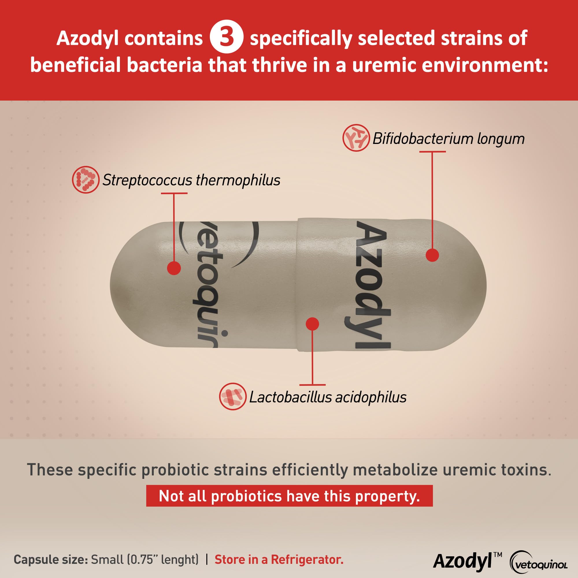 Vetoquinol Azodyl Kidney Health Supplement for Dogs & Cats - 90 Count Probiotic Capsules | Supports Kidney Function & Renal Toxin Management | Easy-to-Swallow Small Caps for Pet Wellbeing | Ideal for Senior Pets & Animals with Kidney Issues