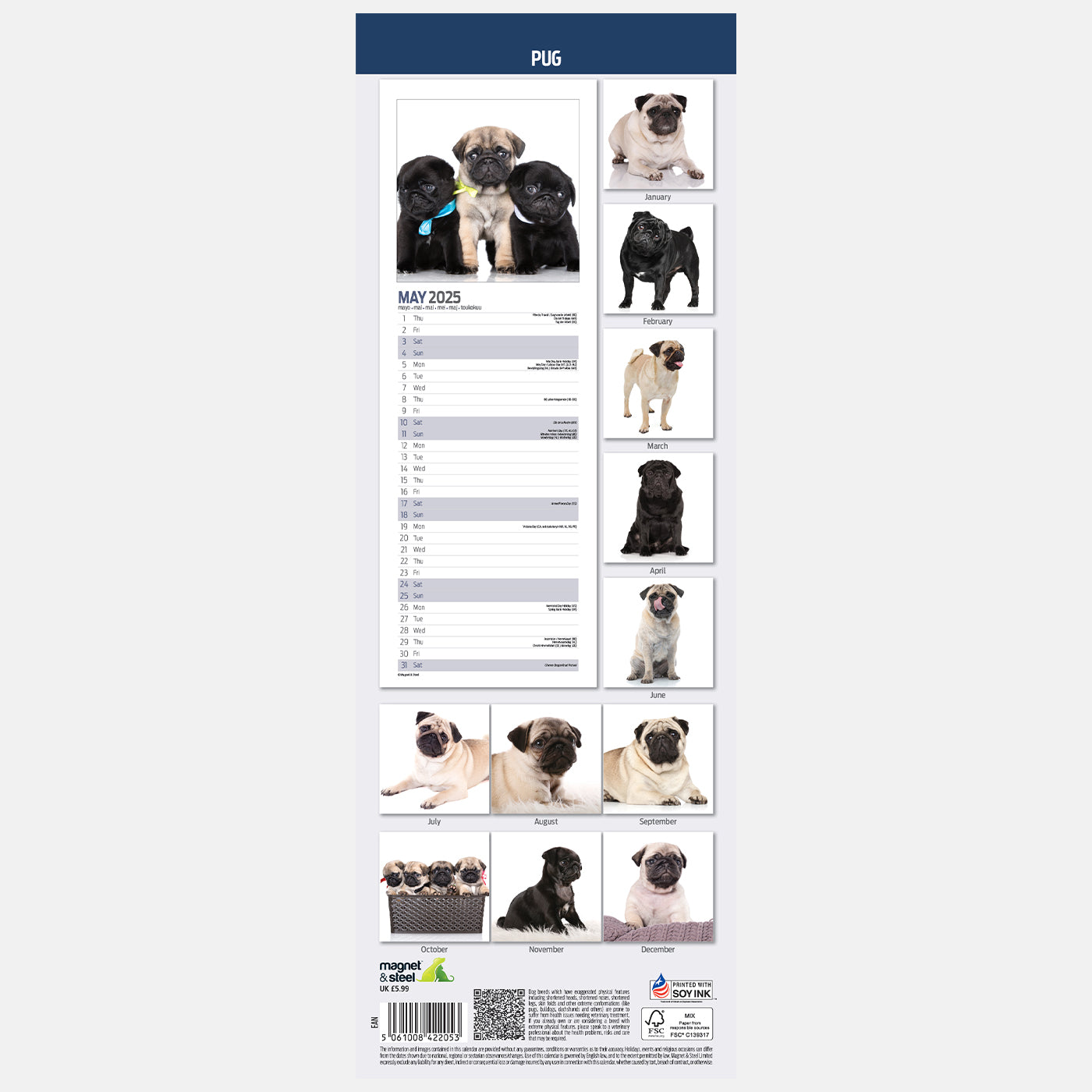 2025 Pug Slim Wall Calendar - Cute Dog Planner for Home & Office | Perfect for Pet Lovers, Gifts, and Organization