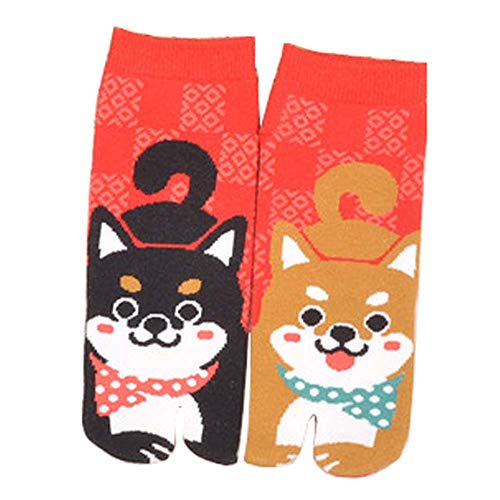 Multicolor-05