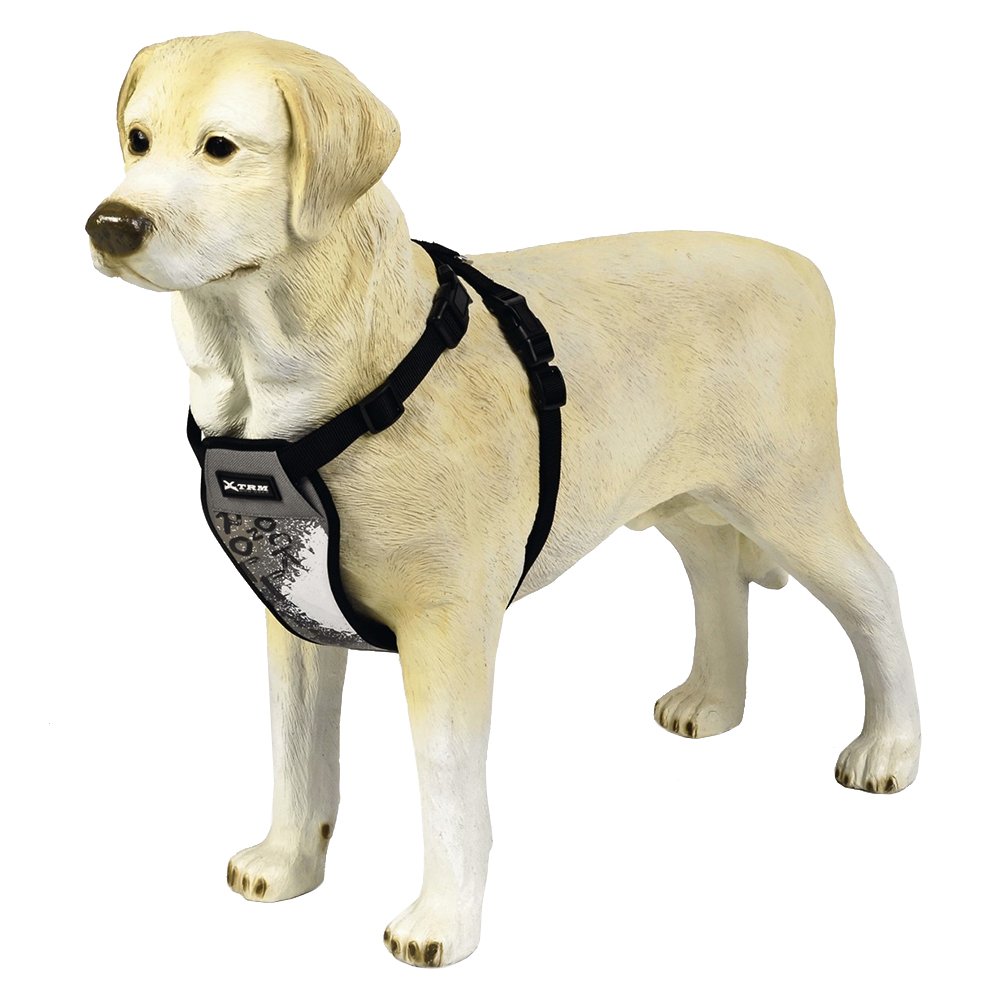 Durable Nylon Dog Harness for Medium Dogs (73-84 cm Chest, 2.5 cm Width) - Comfortable Grey Pet Walking Vest for Outdoor Adventures, Training & Daily Walks