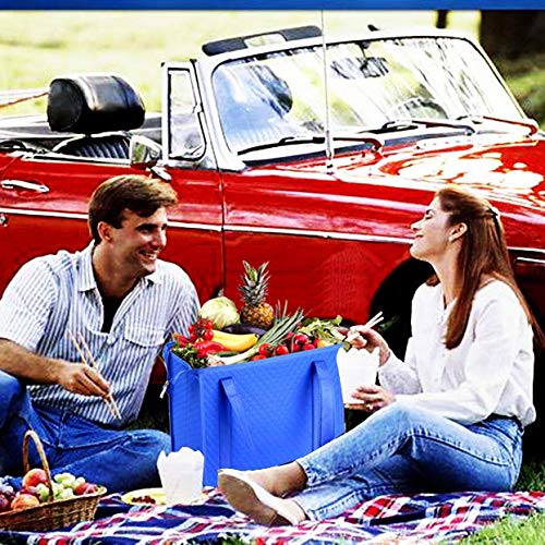 2PCS Insulated Refrigerator Grocery Bags with Zipper - Leakproof Cooler Bags for Food Storage (Black & Blue) - Perfect for Picnics, Camping & Grocery Shopping