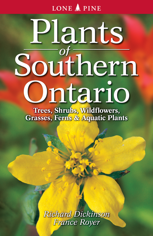 Lone Pine Plants of Southern Ontario - Native Trees & Shrubs for Landscaping, Gardening & Wildlife Habitat