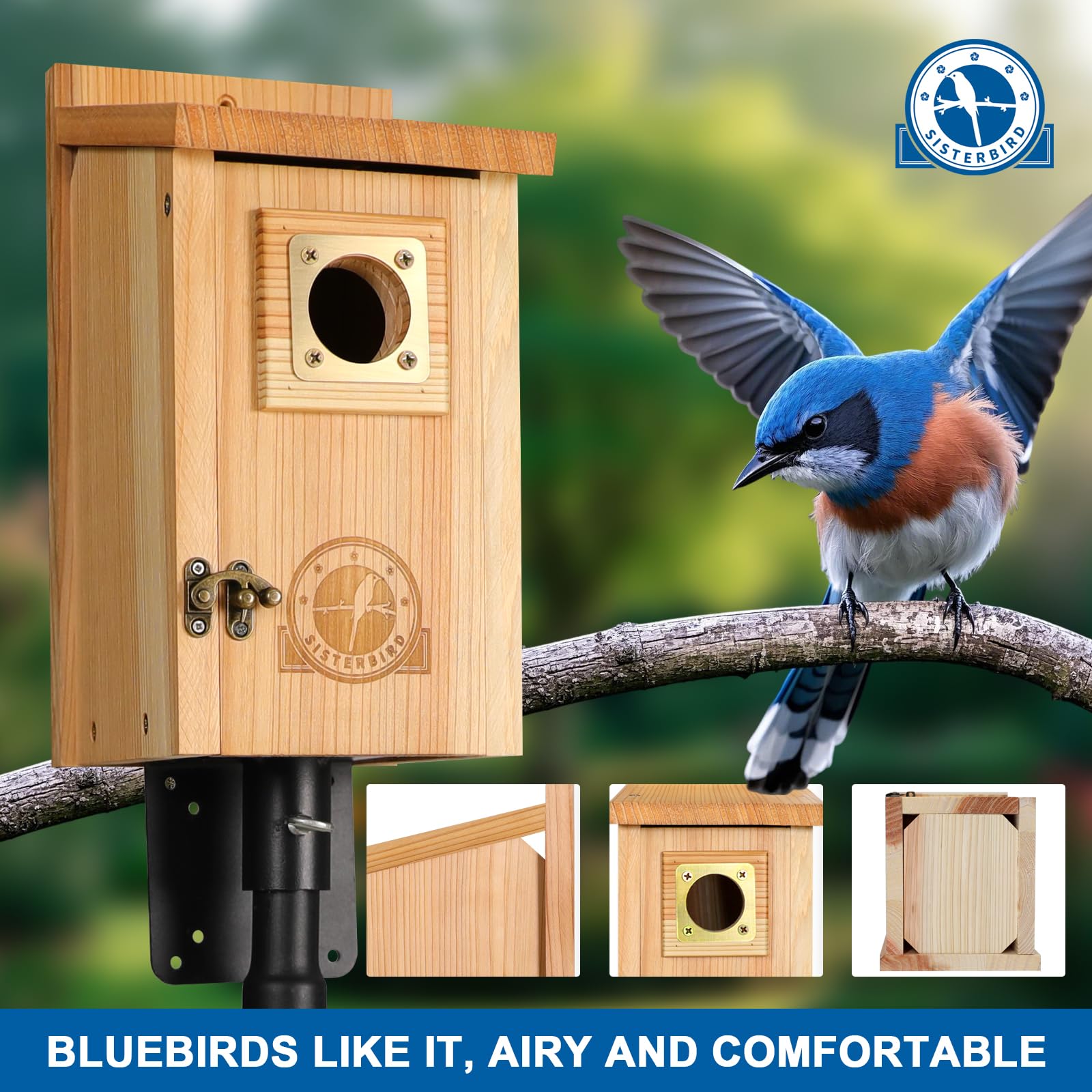 2 Pack Cedar Bird Houses with Copper Guard - Outdoor Birdhouse for Bluebirds, Finches, Swallows, Wrens & Chickadees - Easy Assembly - Perfect for Garden, Backyard & Nature Lovers